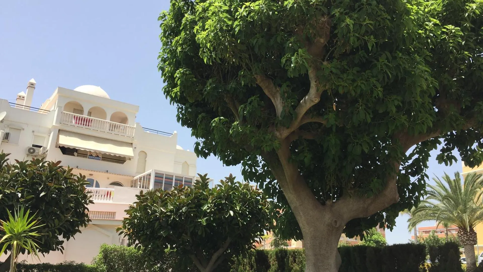 Apartamento Frente Al Mar Algarrobo Costa